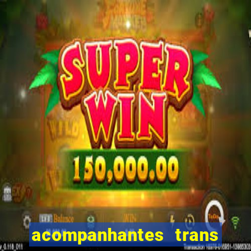 acompanhantes trans baixada fluminense